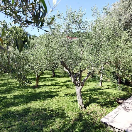 Apartamento Lush Garden Hideaway Fama Near Portoroz